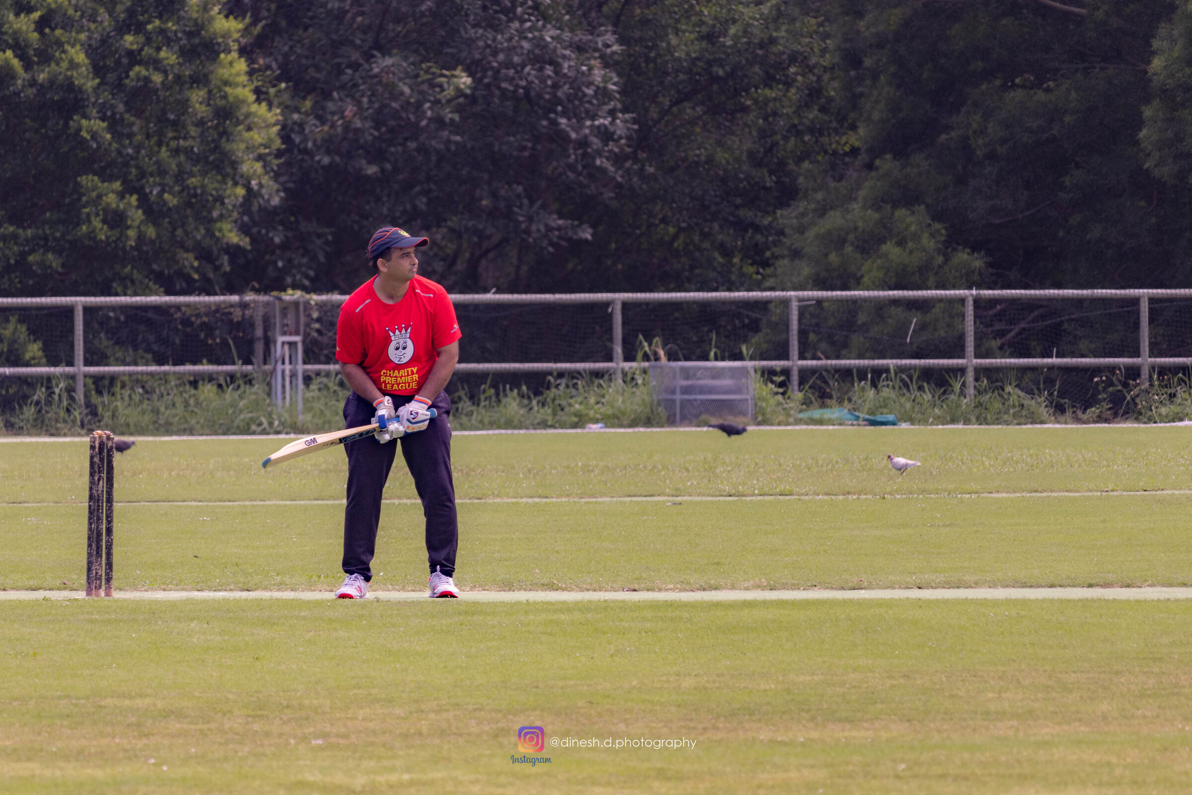 Cricket pitchside select